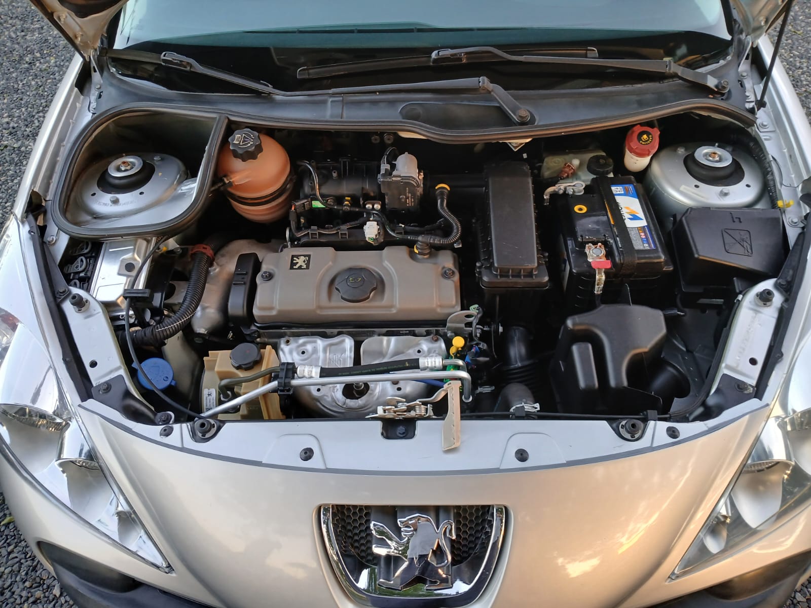 Peugeot 1.4 Completo 2010