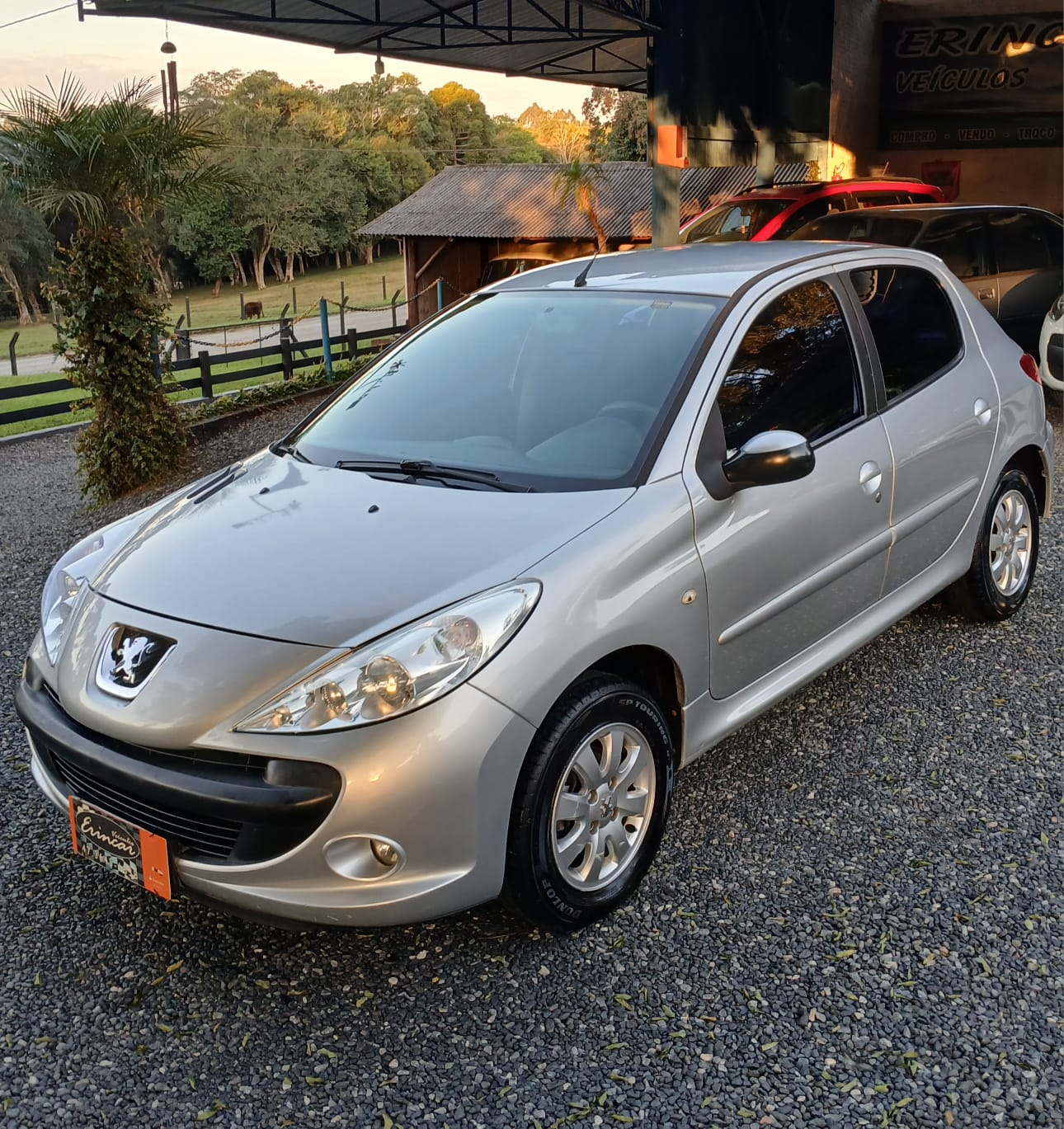 Peugeot 1.4 Completo 2010