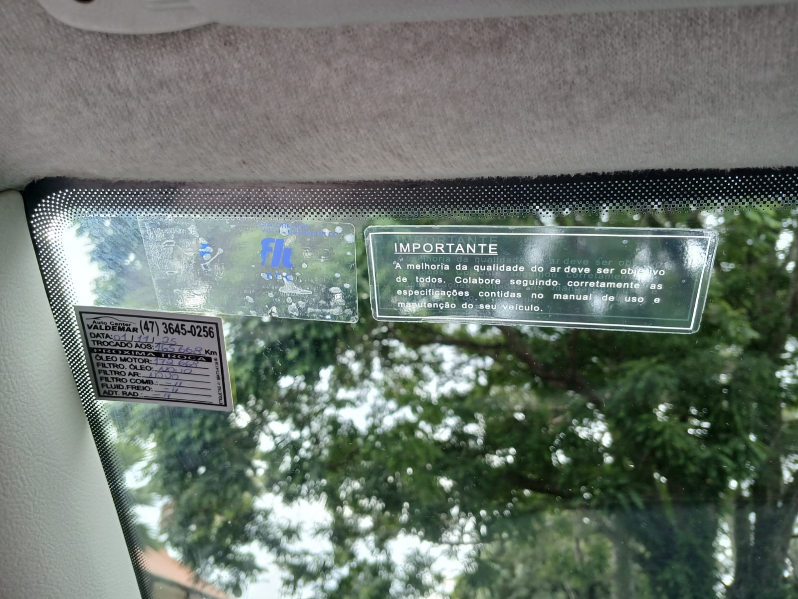 Fiat Palio Celebration 1.0 2009 Única Dona, Economia E Procedência!