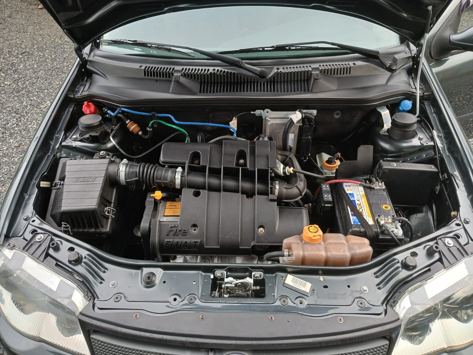 Fiat Palio Celebration 1.0 2009 Única Dona, Economia E Procedência!